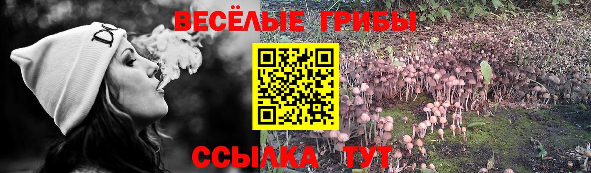 Галлюциногенные грибы Cubensis Сергиев Посад