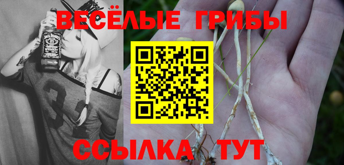 Сергиев Посад  Псилоцибиновые грибы MAGIC MUSHROOMS  Вход с VPN 